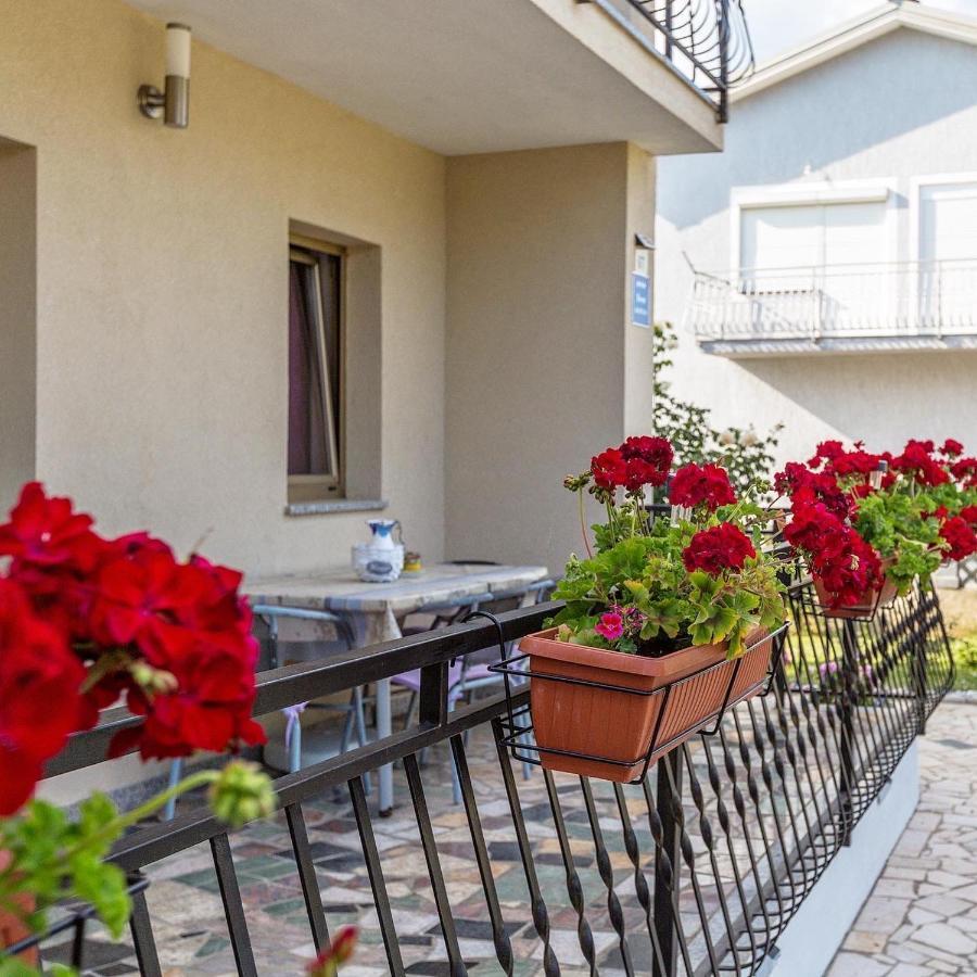 Apartment Belma Porec Radmani Eksteriør bilde